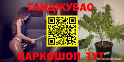 ПСИЛОЦИБИНОВЫЕ ГРИБЫ Кимры