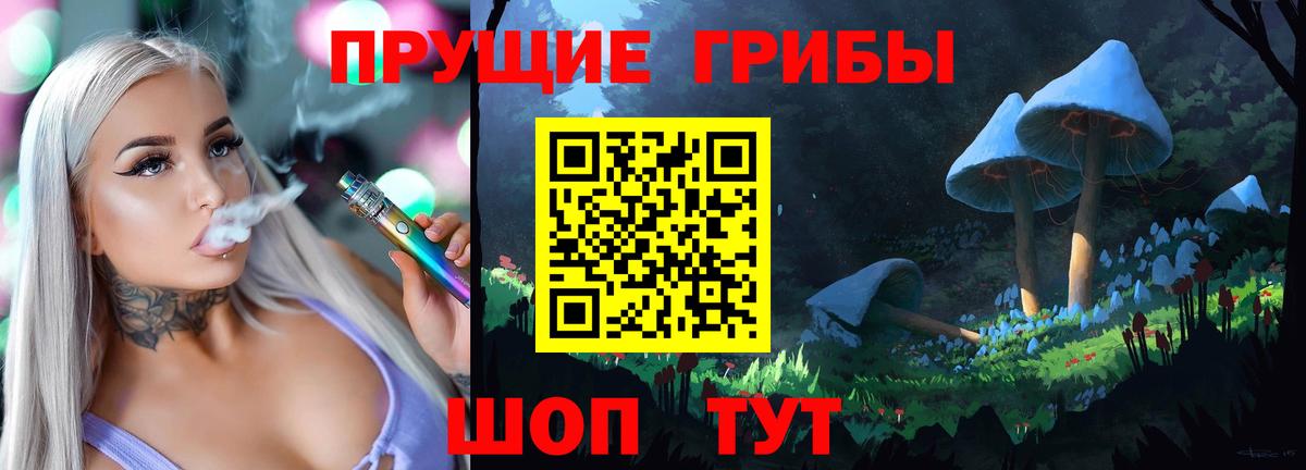 Галлюциногенные грибы Psilocybe  Похвистнево 